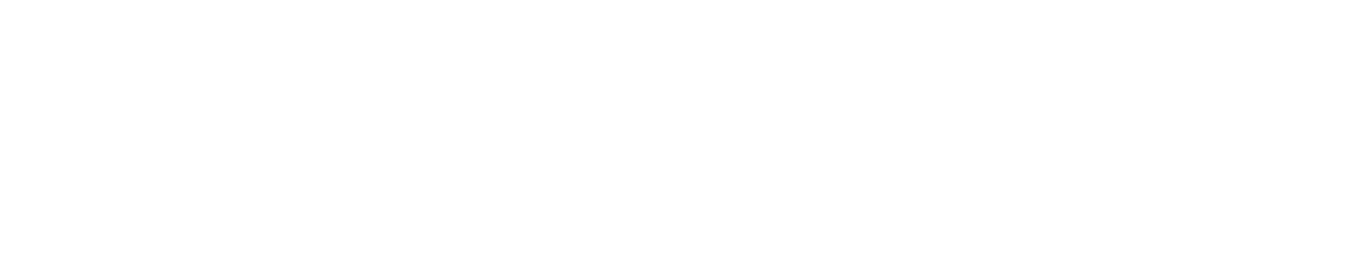 WhitePlan Logo